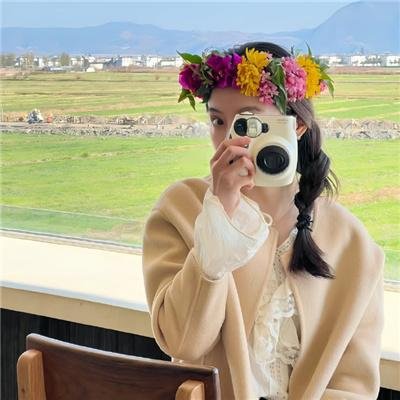 安妮日记：始末